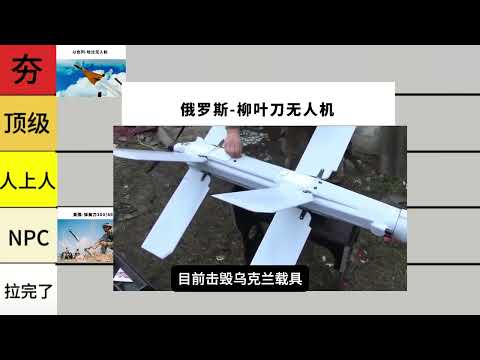 小型巡飞弹从夯倒拉排名开始。 #巡飞弹 #自杀式无人机 #柳叶刀巡飞弹 #大福观世界 #无人机