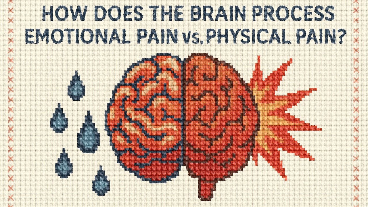 How does the brain process emotional pain vs physical pain - YouTube