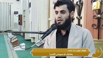 رعد محمد ,, قراءة ما تیسیر من سورة [ الزمر]