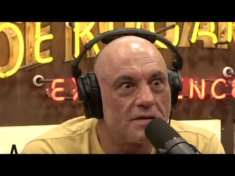 Joe Rogan Discusses Epstein, Political Corruption, and Media Influence with Maria Farmer