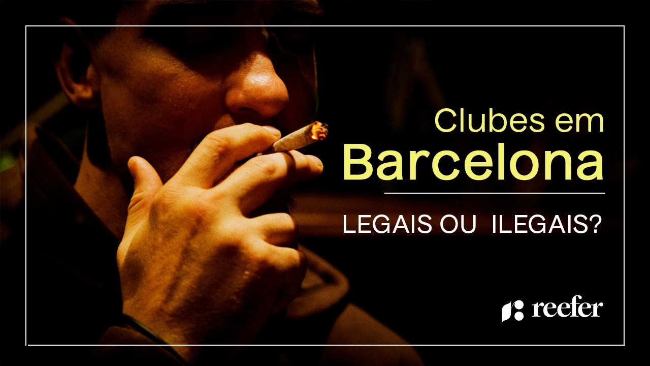 COMO FUNCIONAM OS CLUBES EM BARCELONA - SELVA CLUBE