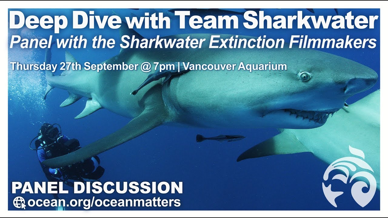 Deep Dive with Team Sharkwater | Panel Discussion with the Sharkwater Extinction Filmmakers