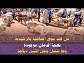 من قلب سوق الماشية بالرشيدية نعجة الدمان موجودة وها شحال وصل الثمن ديالها mp3