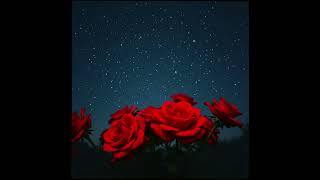 Ayça Zafer - Bu Aşka Bir Virgül 🌹 Duygusal şarkılar 🌹 Aşk şarkıları 🌹 Şarkılar 🌹 Slow şarkılar 🌹