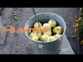 СОКОВЫЖИМАЛКА ПРЕСС  МОБИЛЬНАЯ+ИЗМЕЛЬЧИТЕЛЬ !