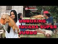 UNBOXING IGUANA SUPER JUMBO @satwaNusantara