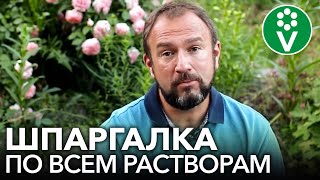 Как долго хранятся растворы препаратов? Янтарная кислота, дрожжи, сенная палочка, препараты меди...