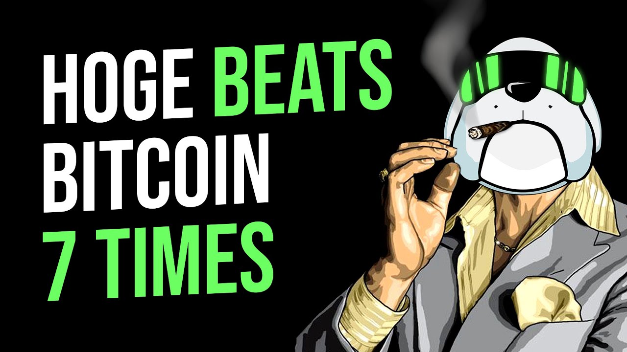 Hoge Outperformed Bitcoin 7 Times In 30 Days! $Hoge Finance News / Updates