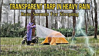SOLO CAMPING IN HEAVY RAIN WITH TRANSPARENT PLASTIC TRAP, RAIN SOUNDS FOR SLEEPING