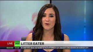 Scientists Discover Plastic Eating Bacteria That Could Save The Environment
