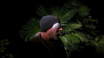 Searching for skip  with one Eye open at 5:30 AM