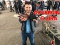 GÜVERCİN 5 LİRA