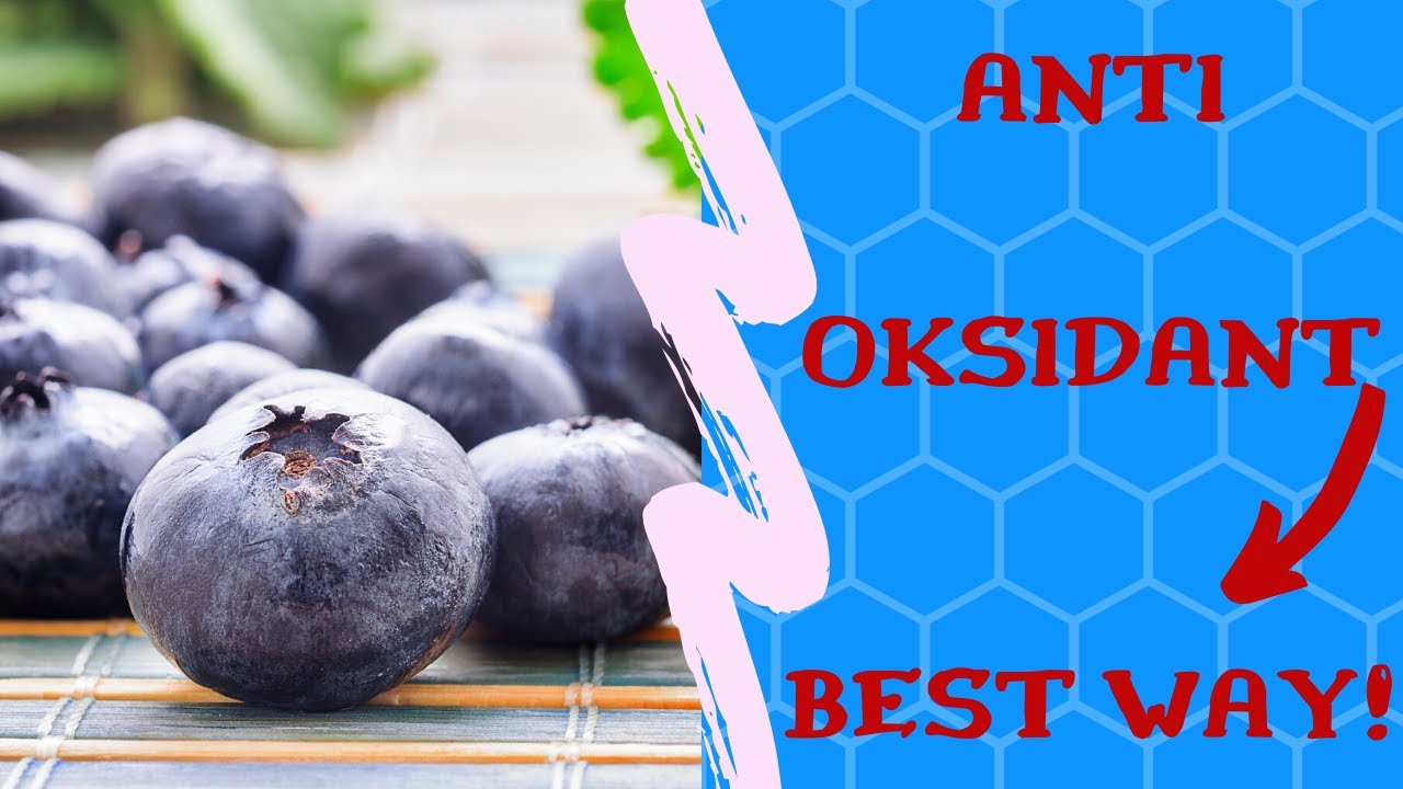 Wild Alaskan Blueberry Health Benefits YouTube