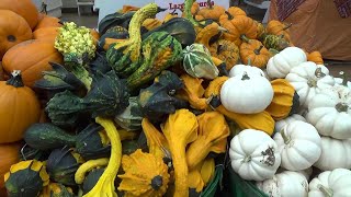 McLeod Farms - McBee, South Carolina.  A Fun Day Out Adventure!  FTHVN  751