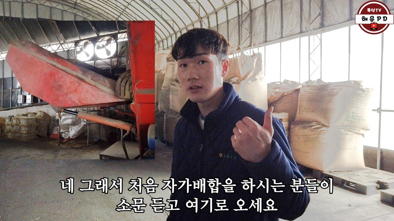 1천두 규모 한우농장이 자가배합 발효사료를 만들어 먹이는 방법