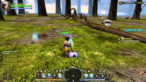 Dragon Nest - Dread Forest Run