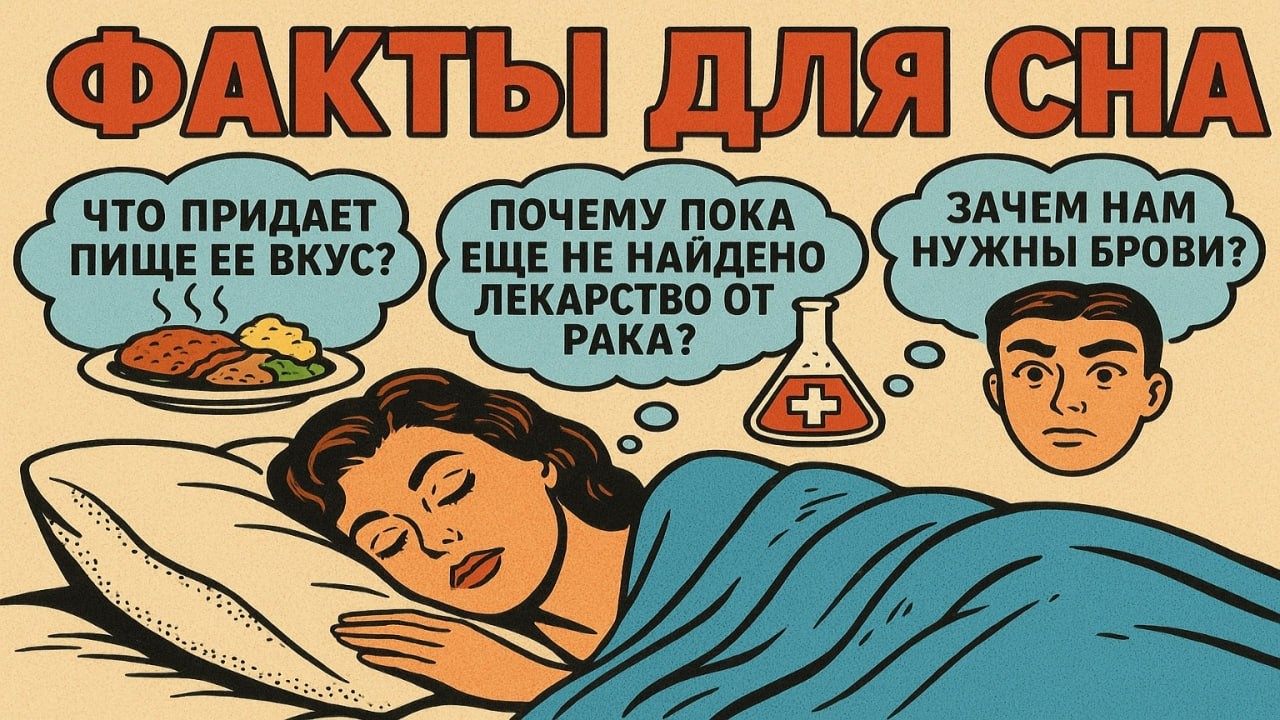 Факты от которых ты ТОЧНО уснешь!