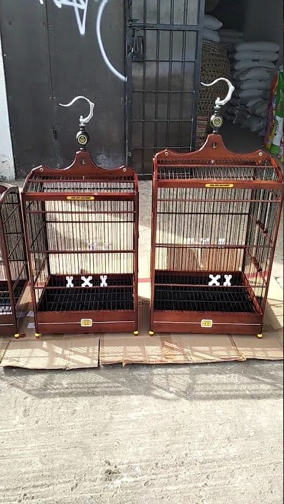 SANGKAR BURUNG LOMBA NO,1,2,3(JOOOS MANTAP)