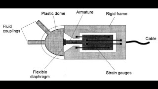 01 Bioseñales y Sensores Parte 1 de 3