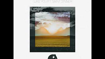 The Human Experience - I Like You (ft. Saint Sinner)