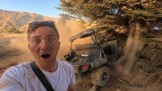 I Crashed Into Lebanon’s National Tree 🇱🇧