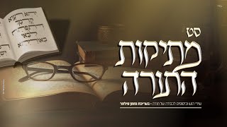 סט מתיקות התורה • שירי רגש וכיסופים לכבודה של תורה | The Torah sweetness set