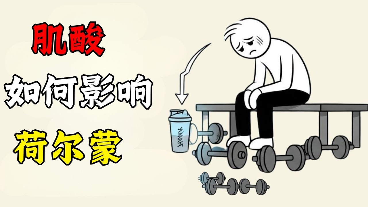 每天服用肌酸会对你的睾酮水平产生什么影响（科学解释）