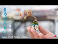 【紅葉】いつも植え替えと違う⁉豆盆栽モミジの植え替え方法【盆栽Q】