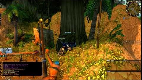 WoW Classic Bots Can Fly