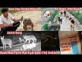 New Dog Simba Milgya🐶Raat Mai Farm Par Kuch Ajib Chij Dekhai De😰Jackal Gang Aagye😨Sb Dogs Jma Kiya🐶