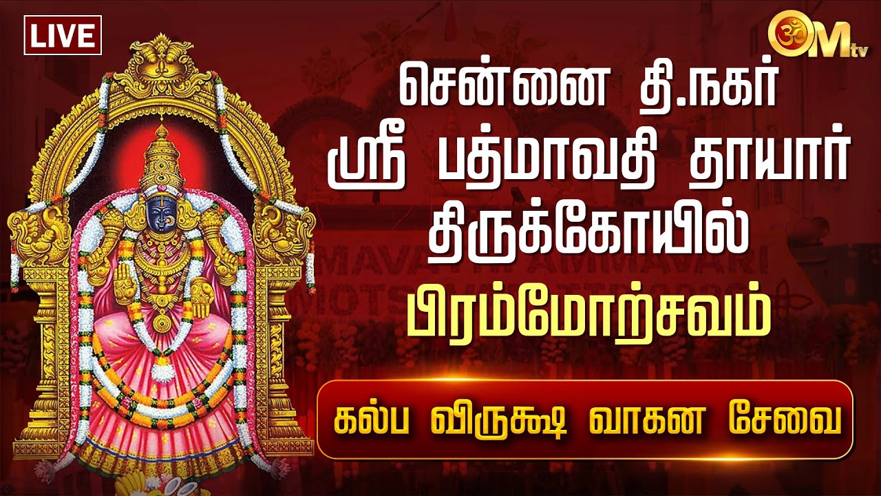🔴LIVE: சென்னை தி.நகர் ஸ்ரீ பத்மாவதி தாயார் திருக்கோயில் பிரம்மோற்சவம் கல்ப விருக்ஷ வாகன சேவை | OM TV