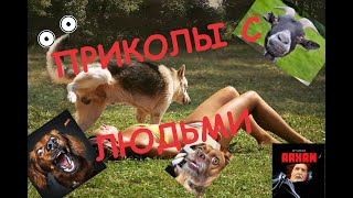 Приколы с людьми funny videos with people