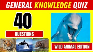 GENERAL KNOWLEDGE QUIZ | WILD ANIMAL EDITION | 40 Questions 🐘 by Quiz Play Love 310 views 2 months ago 7 minutes, 37 seconds