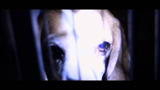 Aurora (2011) - Trailer ufficiale [HD] (ITA ENG FRA)