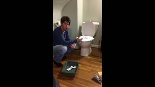 kitty loo