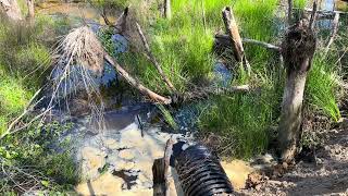 Busted Pond Dam Repair using 18” covert and a lot of Tractor Work.