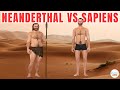 تطور الإنسان العاقل