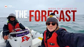 Can She Keep This Pace? The Critical Forecast for SF | Swim CA Week 7 Preview from the Crew