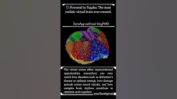 Powered by Fugaku: The most realistic virtual brain ever created. #supercomputer #fugaku #japan