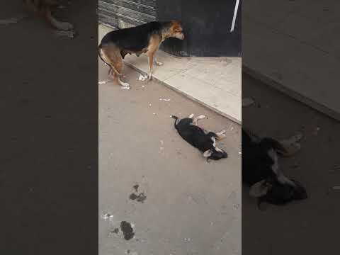 ومع ذلك تشوف بشر بيرموووا ولادهم