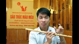 học thổi sáo xuân này con không về