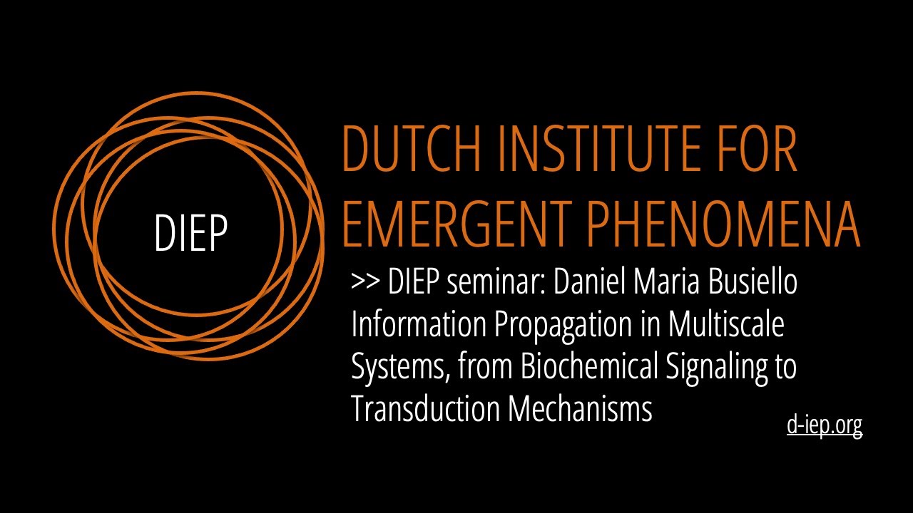 Information Propagation in Multiscale Systems by Daniel Maria Busiello