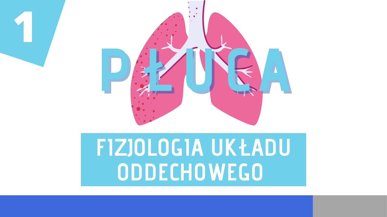 Fizjologia układu oddechowego cz. 1 — Transcript