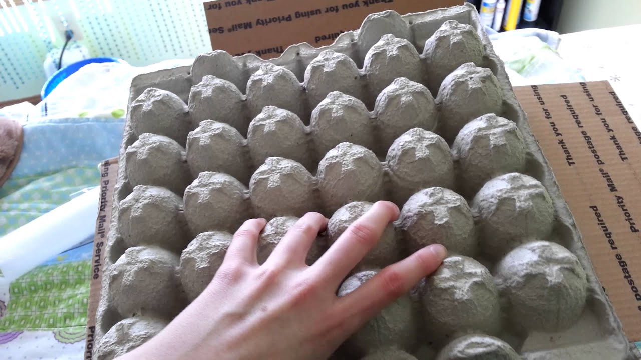  Unboxing from BeardedDragon.co