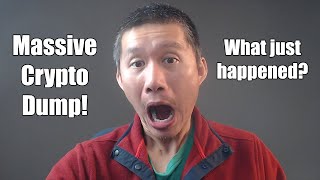 Massive Crypto Dump!! What just happened?