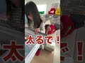 すぐ殴る父は嫌いです！！【うちの親あるある】　#shorts #チャンネル登録お願いします