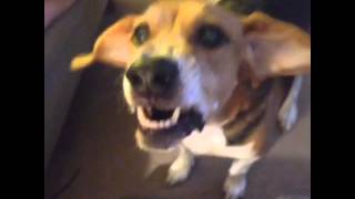 Does anyone know what app was used to make this vine?