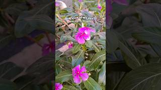 vlog.....#vlogify #100millon #1000subscriber #fypシ #viral #aesthetic #vlog #youtubeshorts #wow