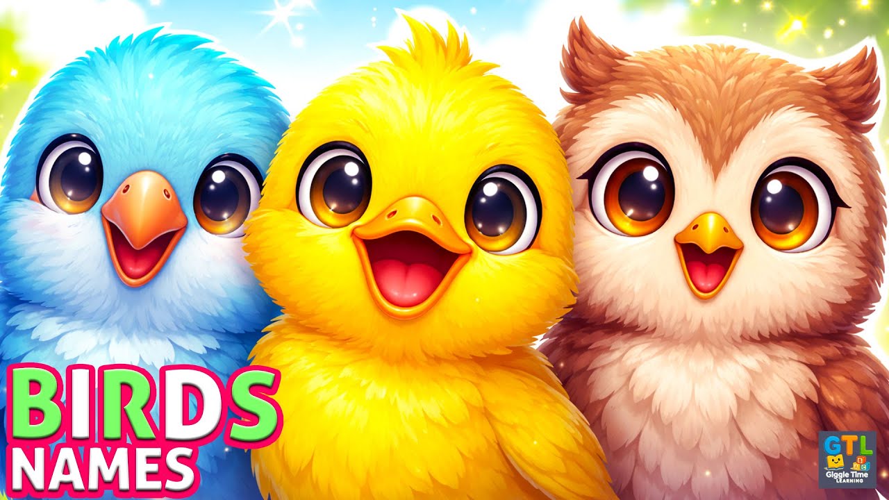 Birds Name | Birds Name for Kids | Birds Name English | Giggle Time Learning