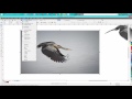Corel Draw Tips & Tricks Cut an object OUT on a JPEG